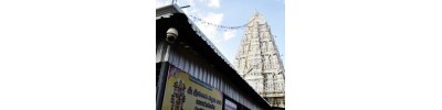 திருச்சானூர் - ஆந்திரா